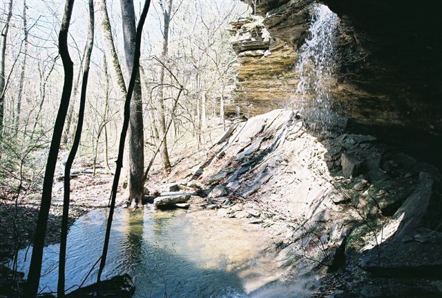 69.25 Acres Slate Gap Road, Garfield, AR 72732