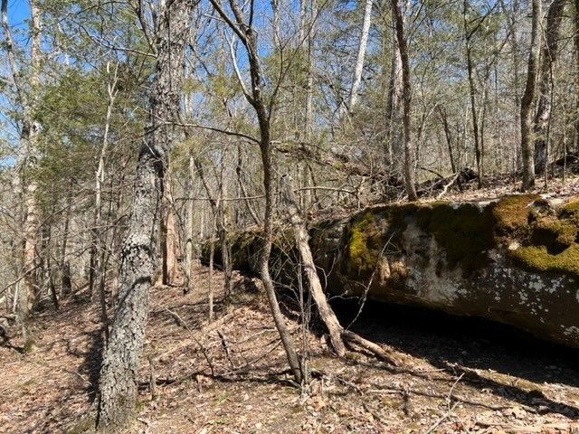 69.25 Acres Slate Gap Road, Garfield, AR 72732