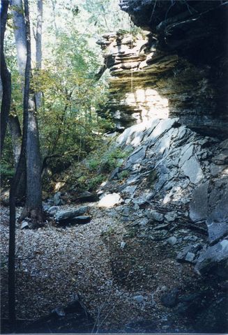 69.25 Acres Slate Gap Road, Garfield, AR 72732