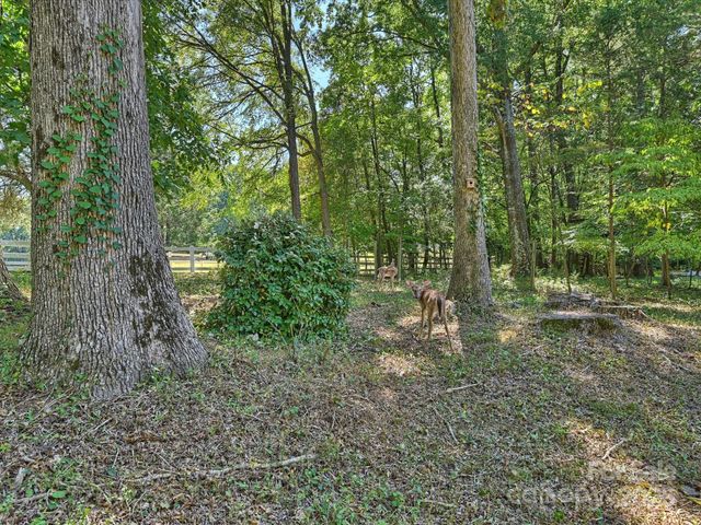 3023 Shallowood Lane, Charlotte, NC 28277