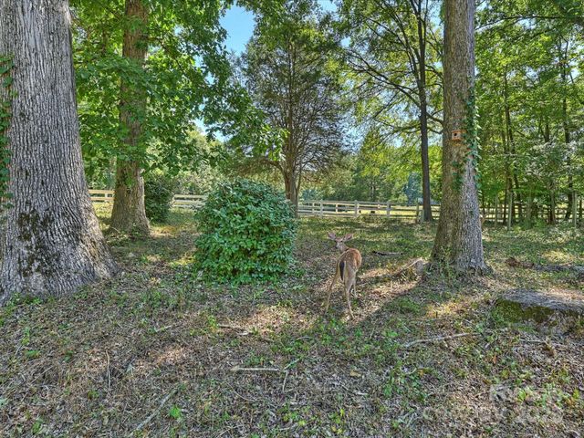3023 Shallowood Lane, Charlotte, NC 28277