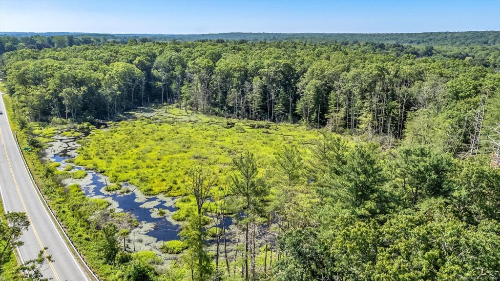 Trumbull Highway, Lebanon, CT 06249