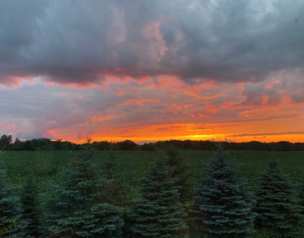 31346 Naples Street NE, Cambridge, MN 55008