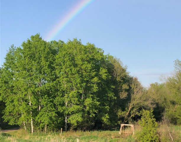 31346 Naples Street NE, Cambridge, MN 55008