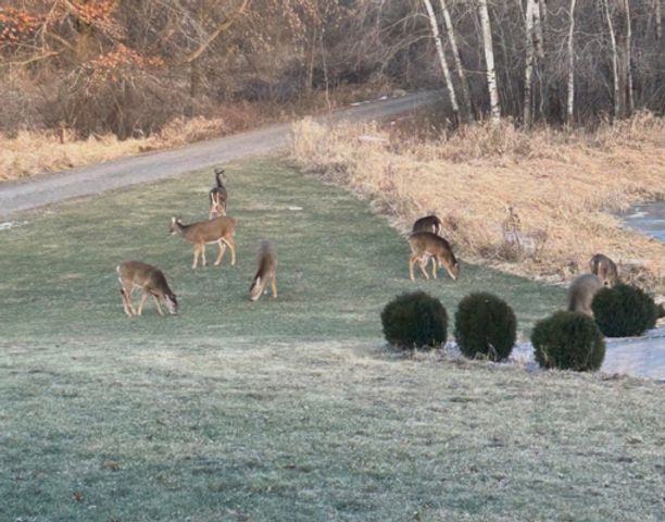 31346 Naples Street NE, Cambridge, MN 55008