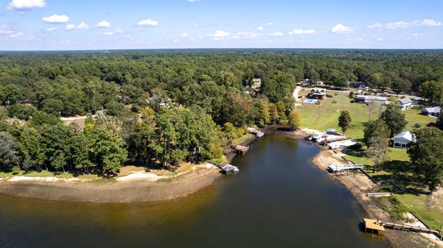 1226 Lesesne Drive, Manning, SC 29102
