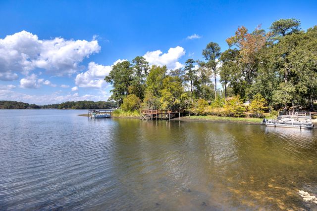 1226 Lesesne Drive, Manning, SC 29102