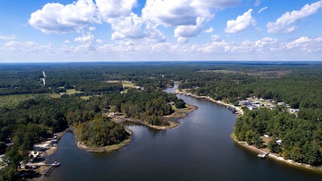 1226 Lesesne Drive, Manning, SC 29102