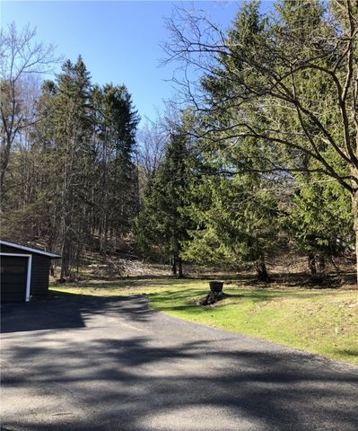 171 West Street, Oneonta-city, NY 13820