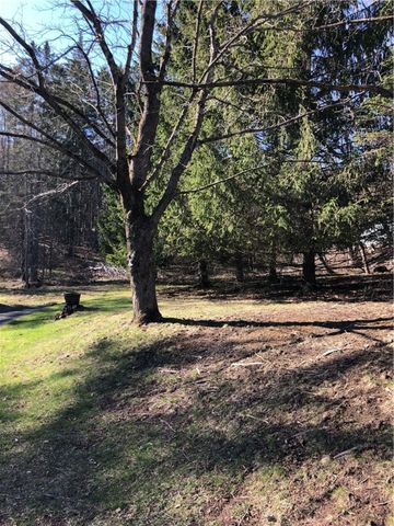 171 West Street, Oneonta-city, NY 13820