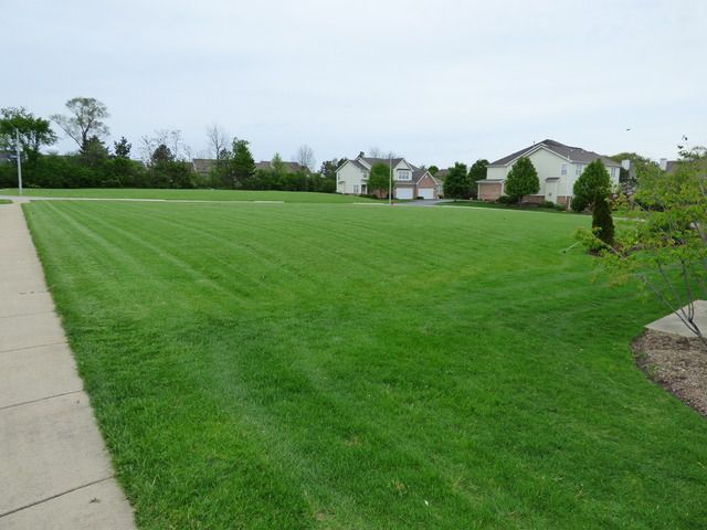 8426 Dawn Lane, Darien, IL 60561