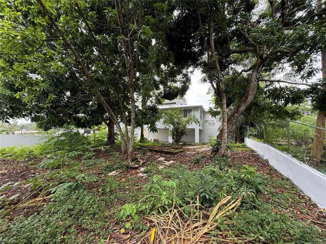 Bo Ortiz La Vega LA VEGA, Toa Alta, PR 00953