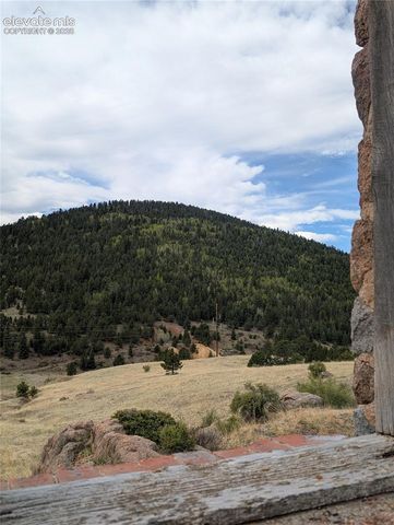 613 S 3rd Street, Victor, CO 80860