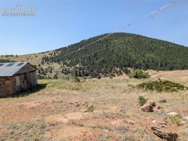 613 S 3rd Street, Victor, CO 80860