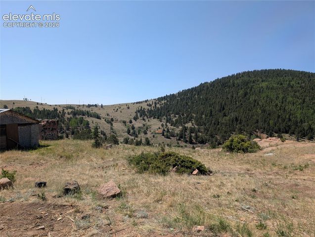 613 S 3rd Street, Victor, CO 80860
