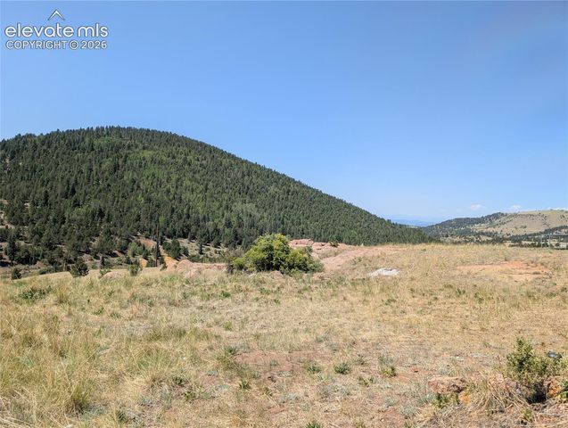 613 S 3rd Street, Victor, CO 80860