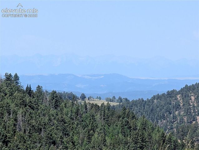 613 S 3rd Street, Victor, CO 80860