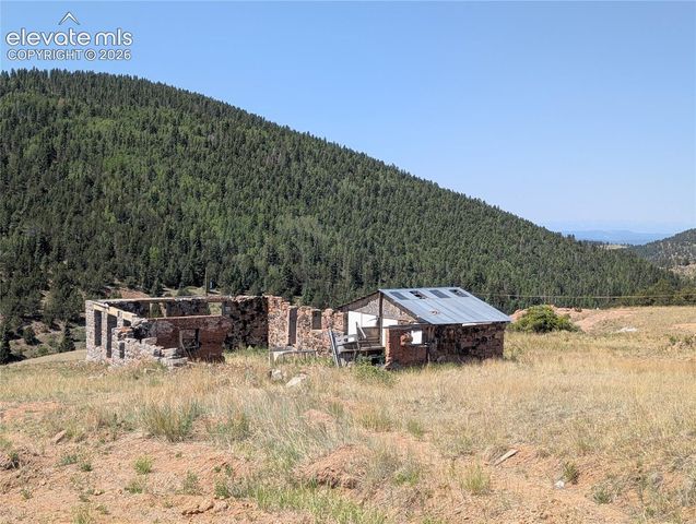 613 S 3rd Street, Victor, CO 80860