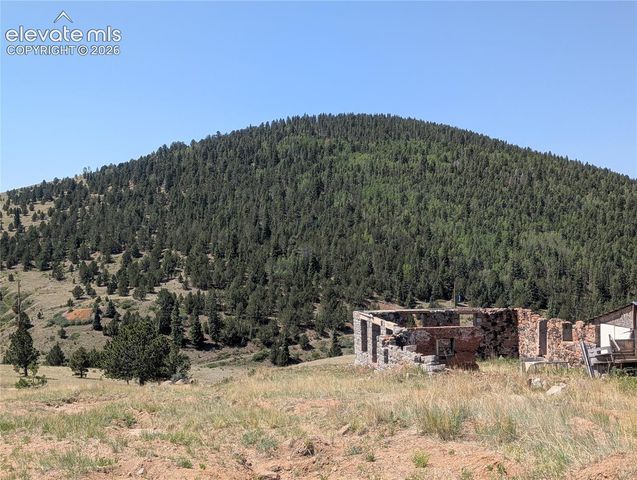 613 S 3rd Street, Victor, CO 80860