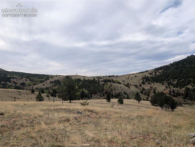 613 S 3rd Street, Victor, CO 80860