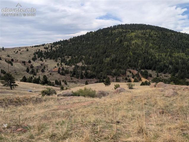 613 S 3rd Street, Victor, CO 80860