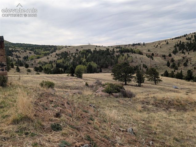 613 S 3rd Street, Victor, CO 80860
