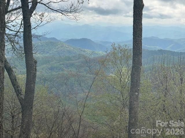 34 Wolfs Head Court, Mars Hill, NC 28754