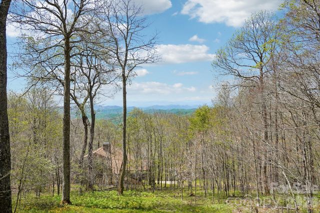 34 Wolfs Head Court, Mars Hill, NC 28754
