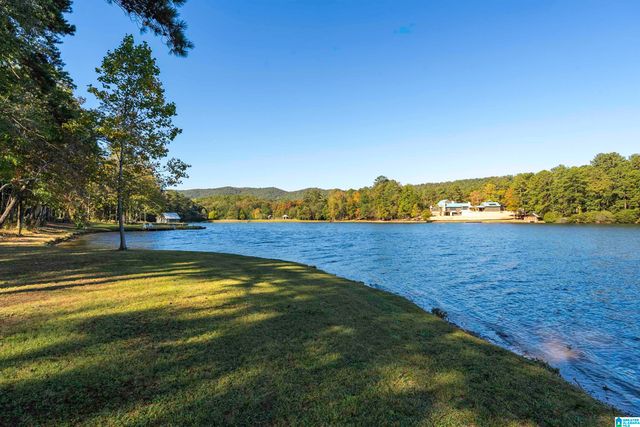 175 SAUNDERS BRIDGE ROAD, Sterrett, AL 35147