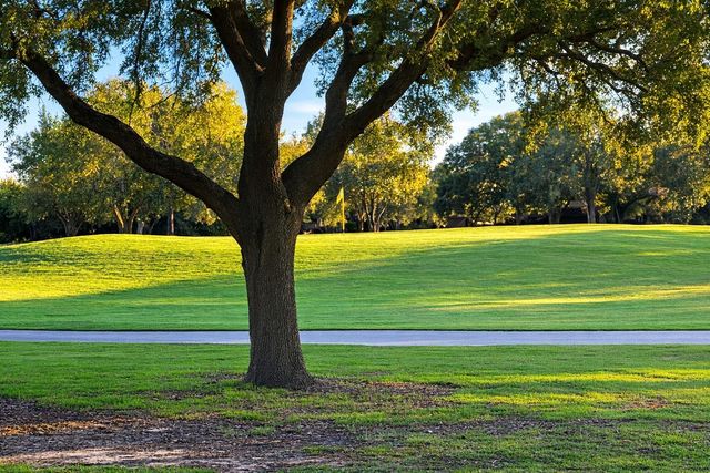 21407 Willow Glade Drive, Katy, TX 77450