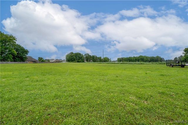 14948 TOWNSEND, Moundville, AL 35474