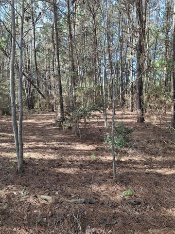 25450 Decker Prairie Rosehill Road, Magnolia, TX 77355