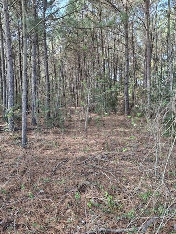 25450 Decker Prairie Rosehill Road, Magnolia, TX 77355