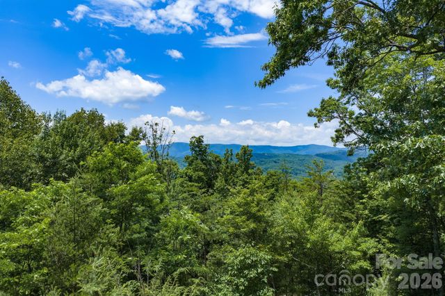 1987 Buck Mountain Road, Purlear, NC 28665