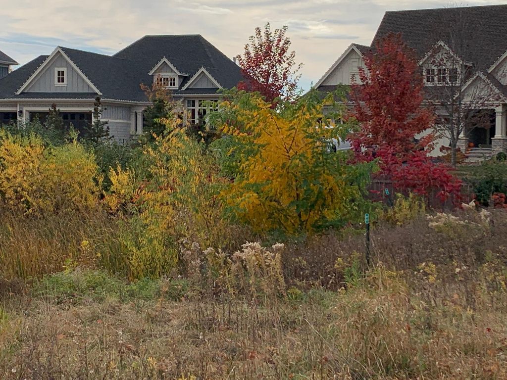 701 Shawnee Woods Road, Medina, MN 55340 — photo 2