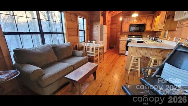 000 Wayah Zooshuga Road, Maggie Valley, NC 28751