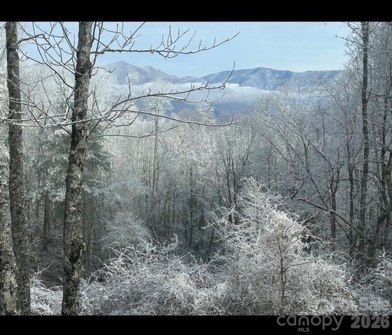 000 Wayah Zooshuga Road, Maggie Valley, NC 28751