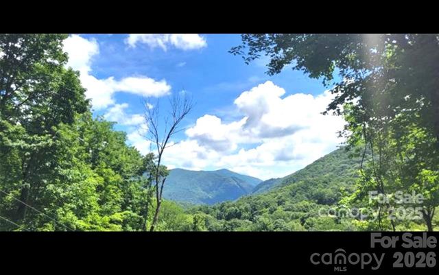 000 Wayah Zooshuga Road, Maggie Valley, NC 28751