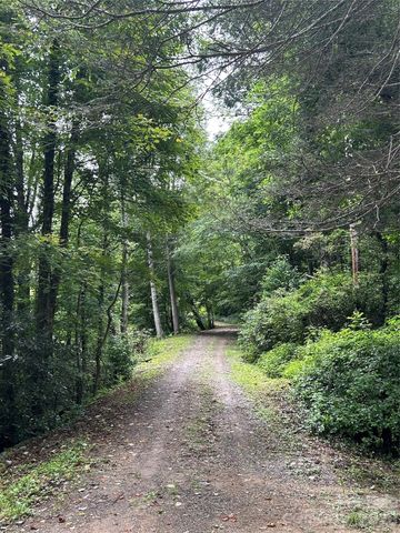 000 Wayah Zooshuga Road, Maggie Valley, NC 28751