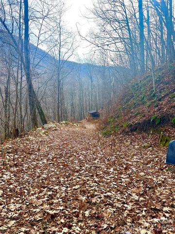 000 Wayah Zooshuga Road, Maggie Valley, NC 28751