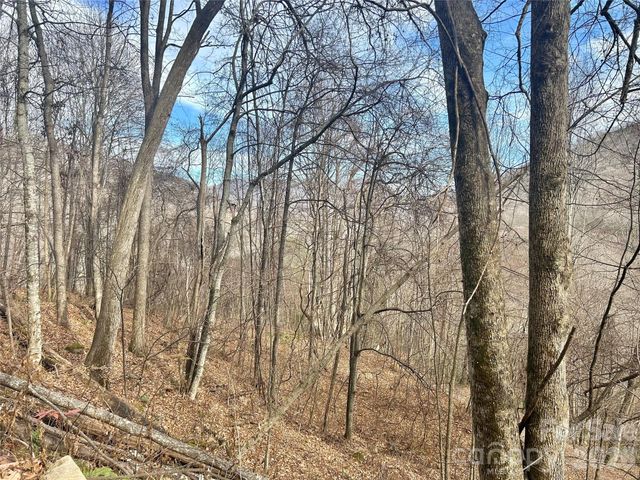 000 Wayah Zooshuga Road, Maggie Valley, NC 28751