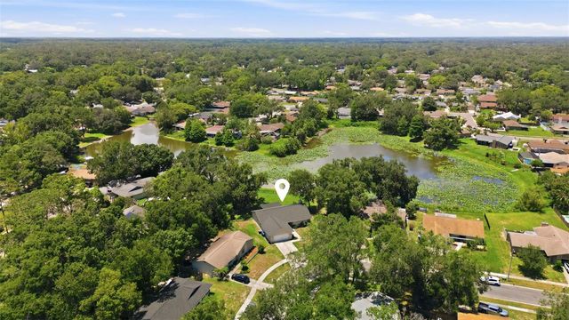 17508 BRANDYWINE DRIVE, Lutz, FL 33549