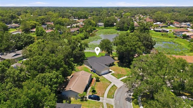 17508 BRANDYWINE DRIVE, Lutz, FL 33549