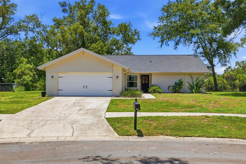 17508 BRANDYWINE DRIVE, Lutz, FL 33549
