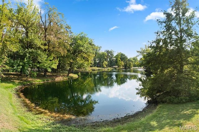 11 Pine Lake Drive, Collinsville, IL 62234