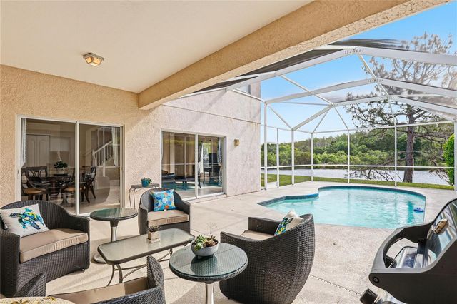 18733 CHOPIN DRIVE, Lutz, FL 33558