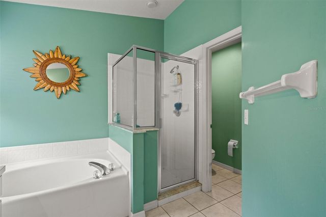 30750 IVERSON DRIVE, Wesley Chapel, FL 33543