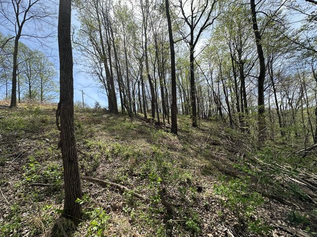 0 Maggart Rd, Elmwood, TN 38560