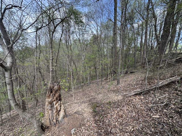0 Maggart Rd, Elmwood, TN 38560