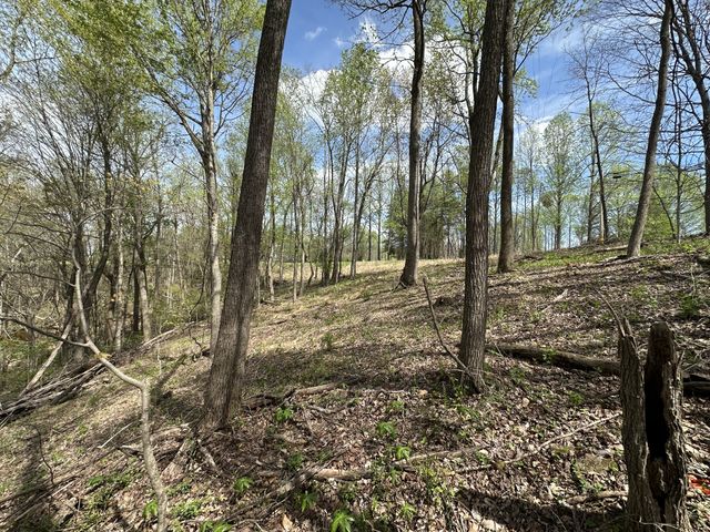 0 Maggart Rd, Elmwood, TN 38560